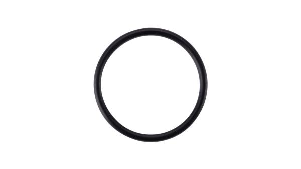 Bosch O-Ring  L 