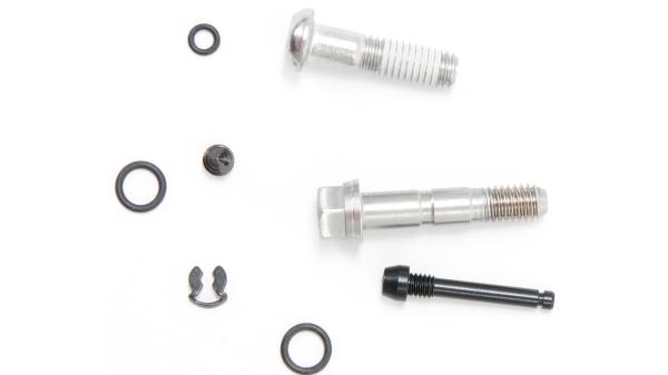 SRAM Bolzen-Kit  L silber, schwarz