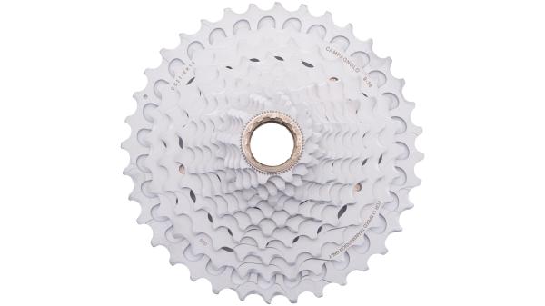 Campagnolo Ekar 13s  XL silber