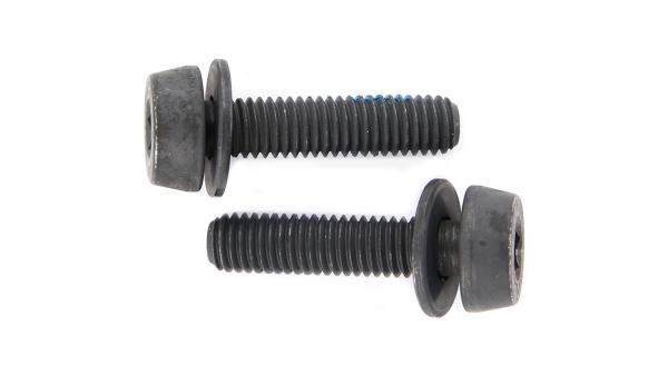 Campagnolo Befestigungsschraube  1 1/8" schwarz