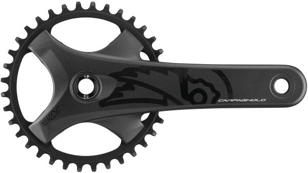 Campagnolo Ekar GT 13s  XL schwarz