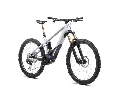 Orbea WILD M-LTD L Halo Silver - Tanzanite Carbon View (Matt) Produktbild 1