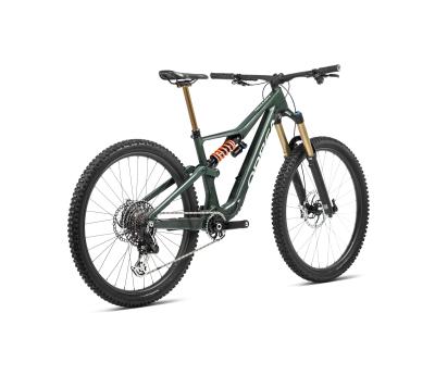Orbea RALLON M10 S Forest Green  - Blue Stone (Gloss) Produktbild 5