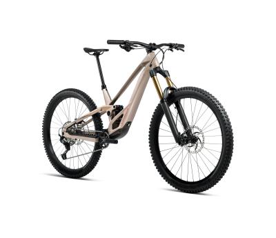 Orbea RALLON E10 XL Nickel (Matt) - Nickel Chrome (Gloss) Produktbild 4