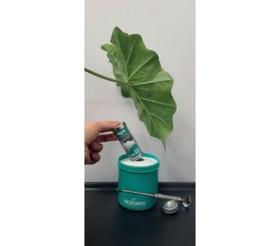 MOTOREX MOTOREX Schmiermittel WHITE GREASE 1x 100 g Dose Produktbild 2