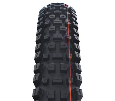 Schwalbe SCHWALBE FALTREIFEN ALBERT RADIAL Trail Pro Soft 63-584 Schwarz Produktbild 1